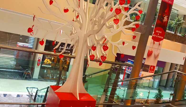 Centres Commerciaux : Noël, un Temps pour le Shopping
