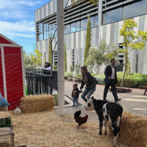 Mini Ferme Interactive
